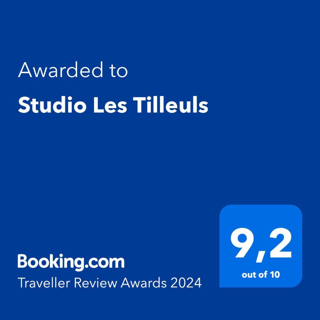 Studio Les Tilleuls Amboise Dış mekan fotoğraf